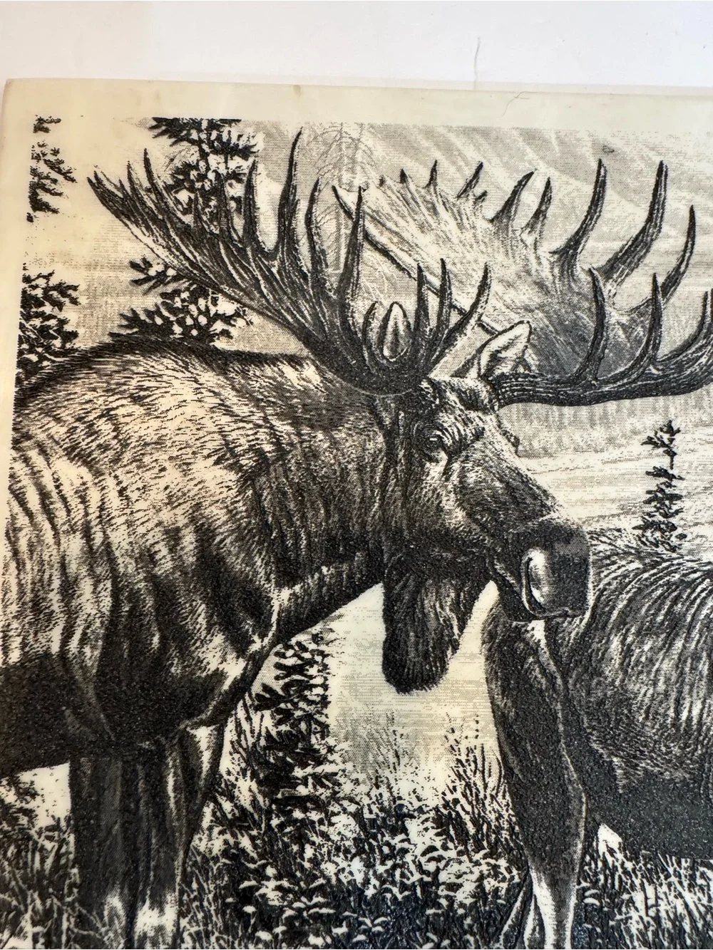 VTG 1998 Cynthie Fisher Alaskan Royalty  Montana Marble Inc. Tile Art Moose